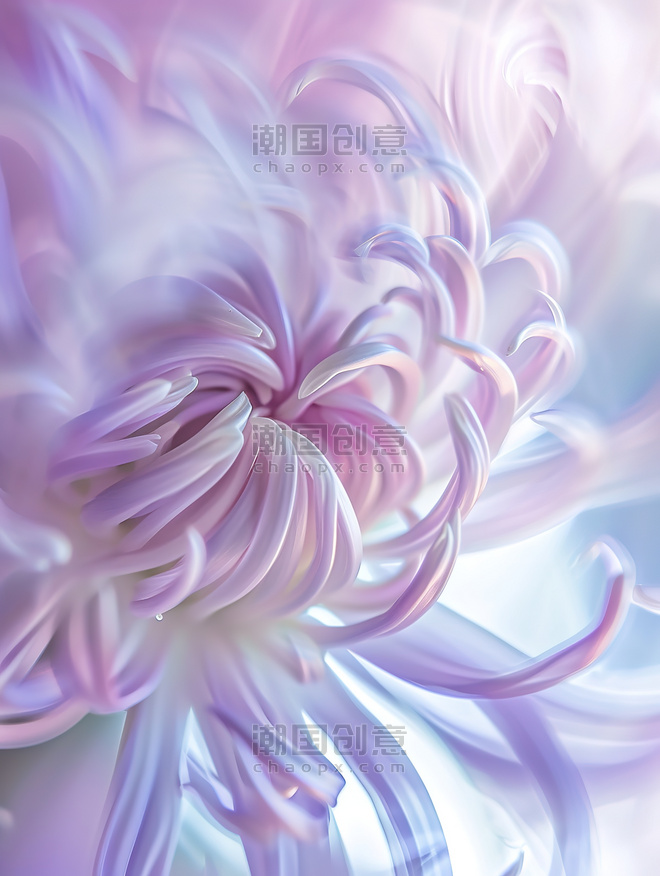 创意一朵美丽的菊花微距抽象艺术感植物花卉花朵