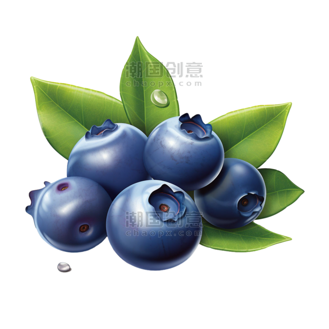 创意真实新鲜蓝莓果实水果元素免抠图案