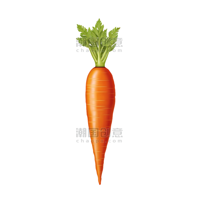 创意纹理蔬菜农作物新鲜胡萝卜元素免抠图案
