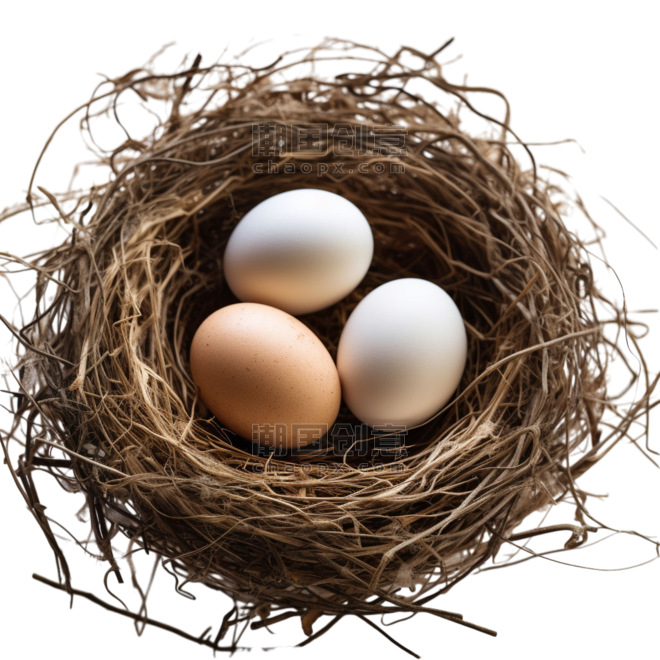 创意简约鸟巢动物鸡蛋元素免抠图案