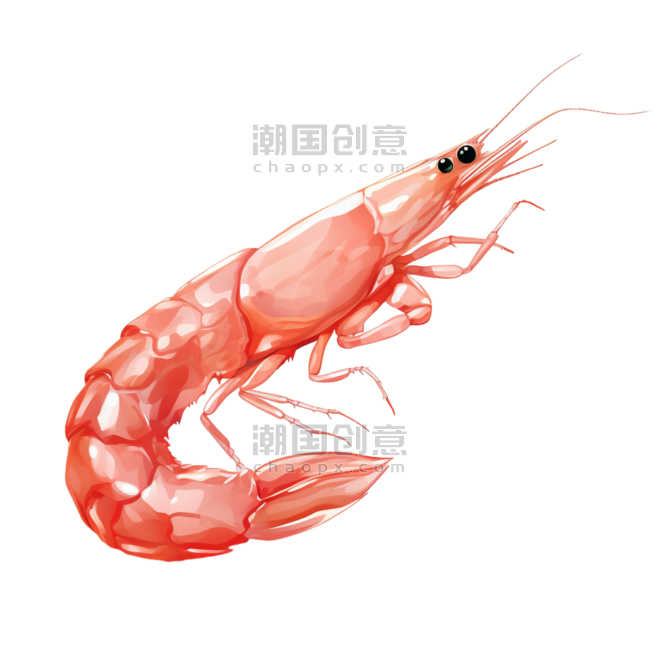 创意生鲜水产虾卡通食物白灼大虾元素免抠图案