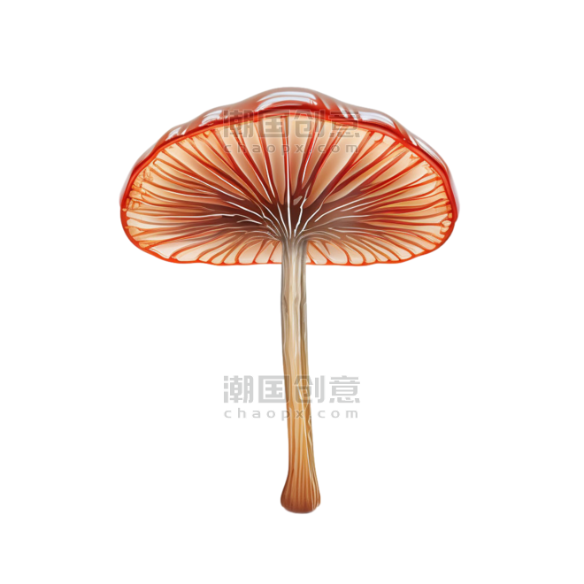 创意菌菇孢子植物春天几何艳丽蘑菇元素免抠图案