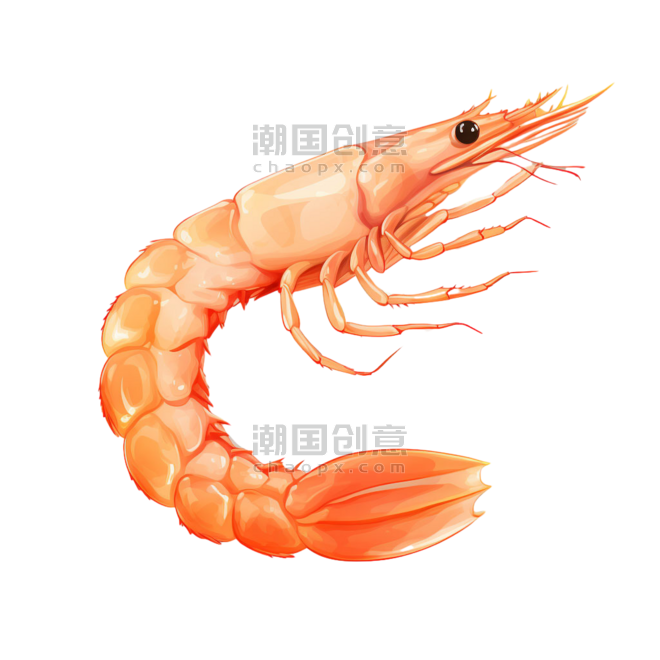 生鲜水产虾卡通食物白灼大虾元素免抠图案
