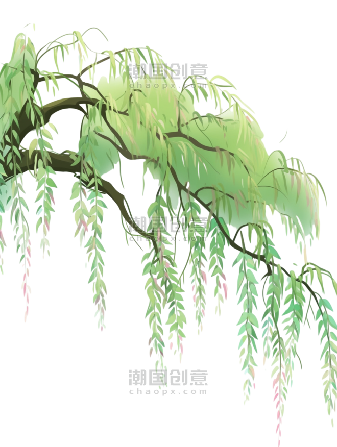 创意春天小清新装饰素材柳树植物叶子