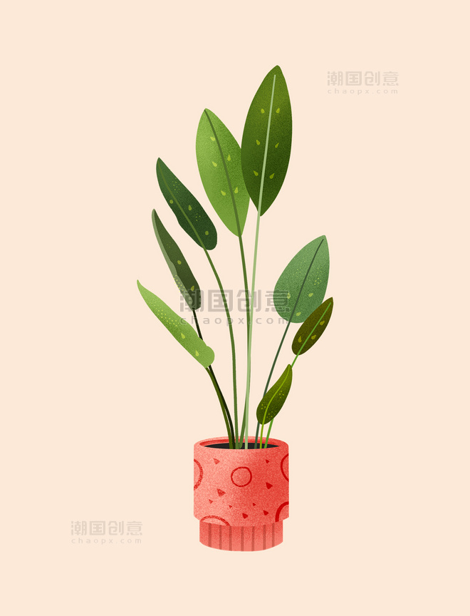 绿植简约小清新植物植物插画设计图