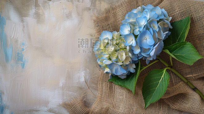 创意手绘蓝色花束绣球花植物复古背景