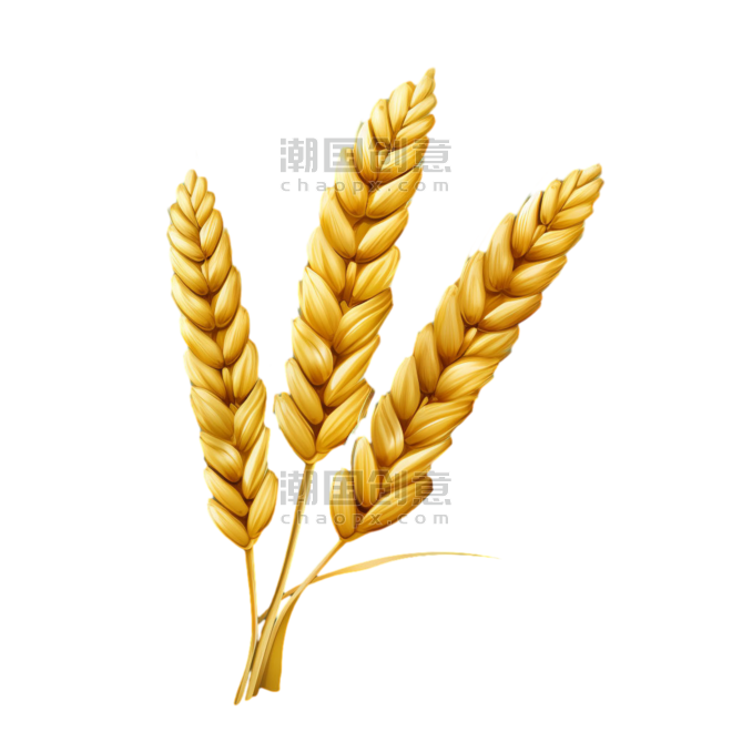 创意绘画黄金麦穗小麦丰收农作物元素免抠图案
