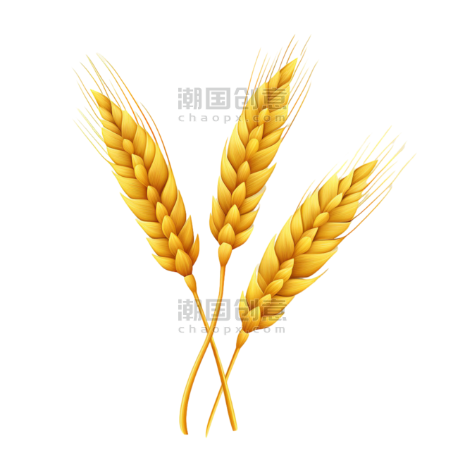 创意真实黄金麦穗小麦丰收农作物元素免抠图案