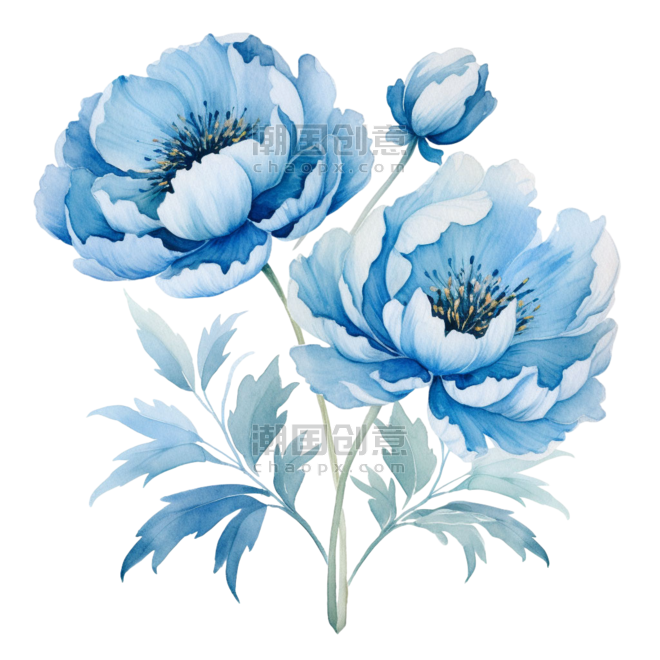 蓝色花朵水彩植物牡丹芍药元素免抠图案