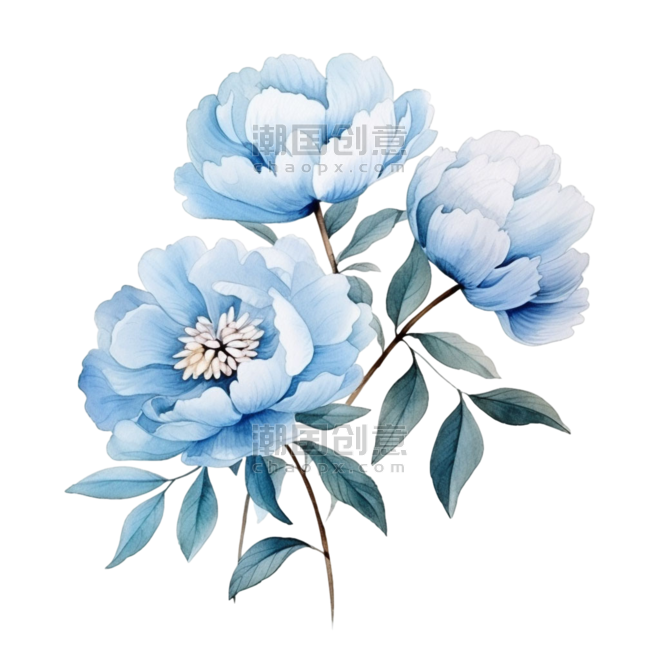 创意水彩植物牡丹芍药特色蓝色花朵元素免抠图案