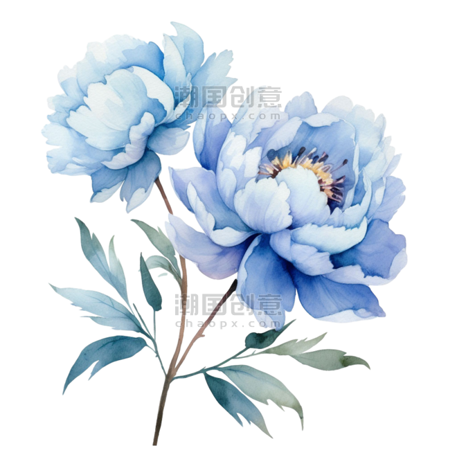 创意绘画水彩植物牡丹芍药蓝色花朵元素免抠图案