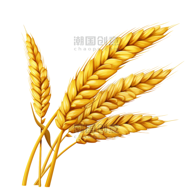 创意小麦丰收农作物装饰黄金麦穗元素免抠图案
