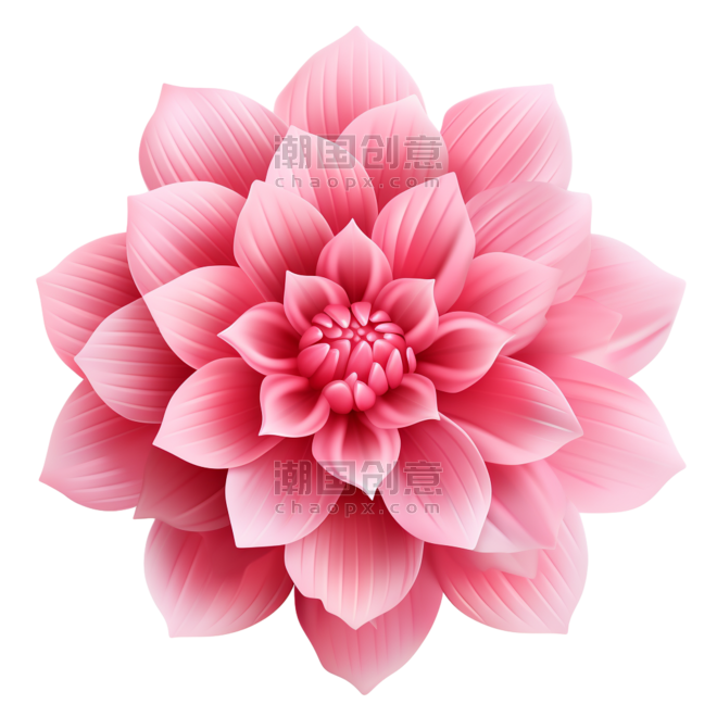 创意质感粉色小花元素免抠图案植物花朵