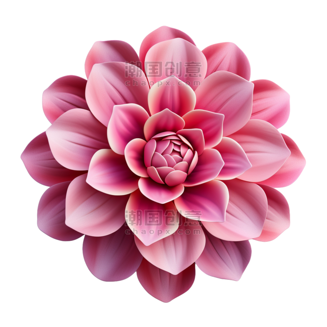 创意简单粉色植物花朵小花元素免抠图案