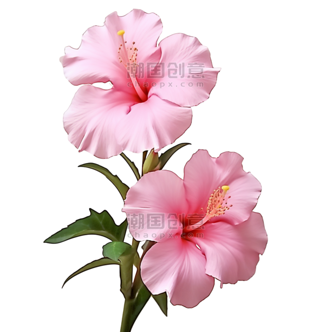 创意花朵喇叭花写实粉色鲜花元素免抠图案