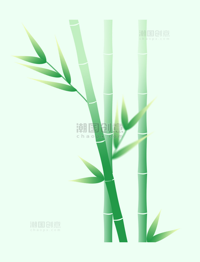 春季竹子竹笋装饰植物图片元素