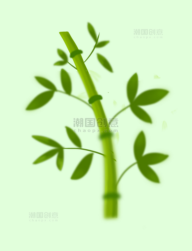 绿色手绘竹子竹叶竹笋png图片