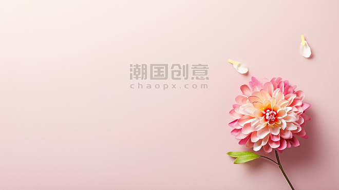 创意春天母亲节粉色节日鲜花背景摄影9
