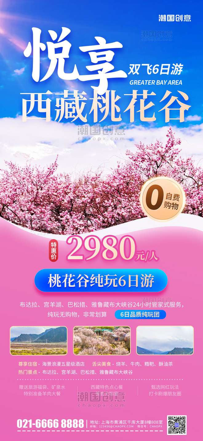 简约春季旅游度假赏花西藏桃花谷粉色海报