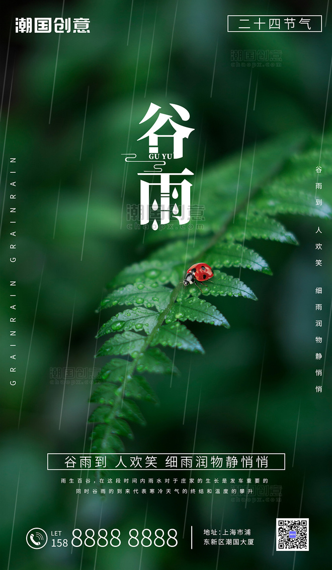 绿色写实谷雨节气七星瓢虫摄影图海报