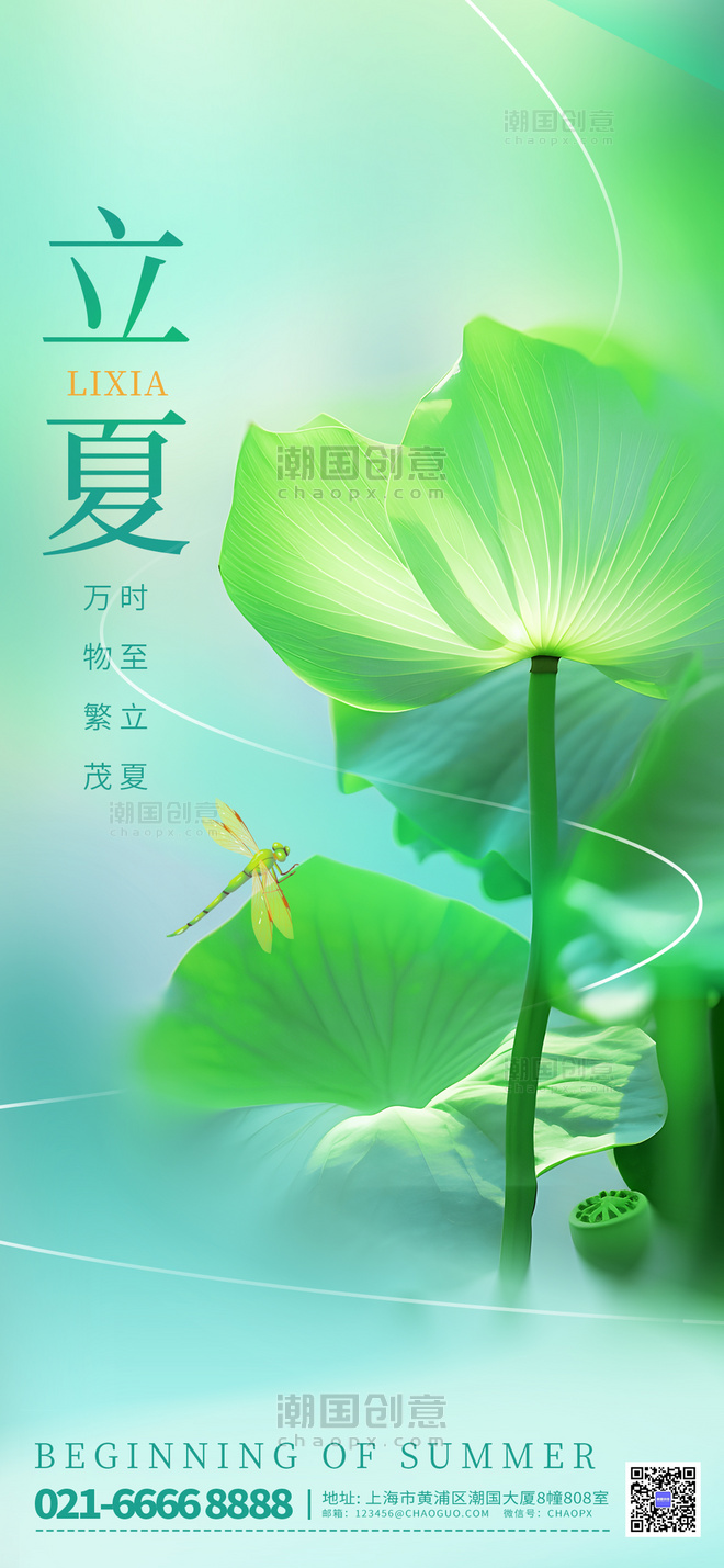 绿色立夏二十四节气荷叶蜻蜓薄荷曼波海报