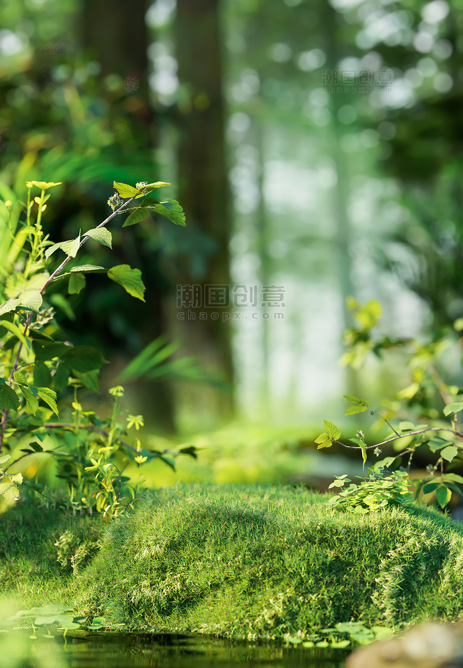 夏季自然植物草坪绿色3D立体背景仿摄影展台