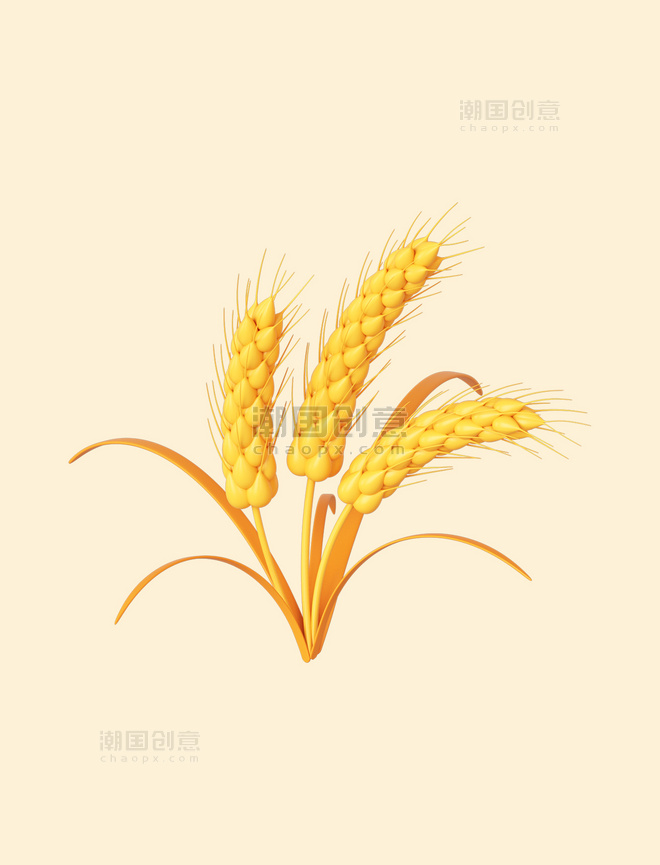 立体金色麦子小麦丰收秋收麦穗