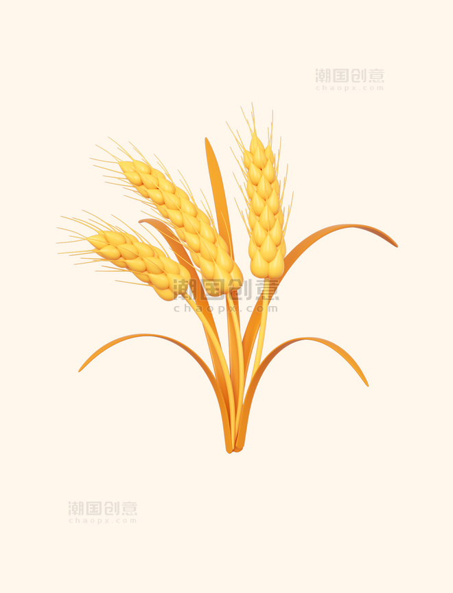 C4D立体芒种金色麦子麦穗元素