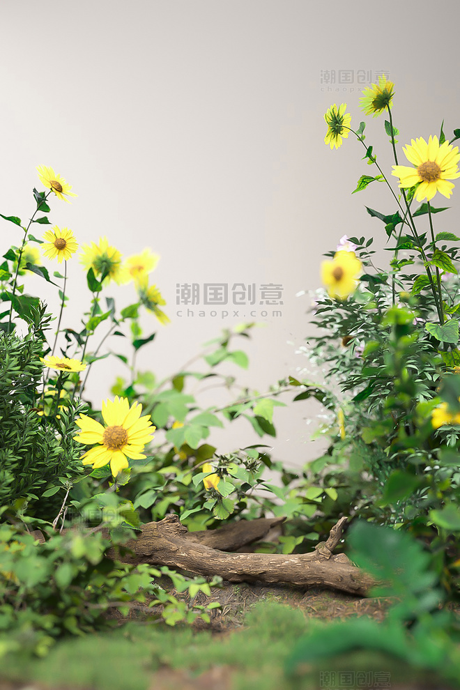 3D夏季夏天植物花卉绿色立体背景仿摄影展台